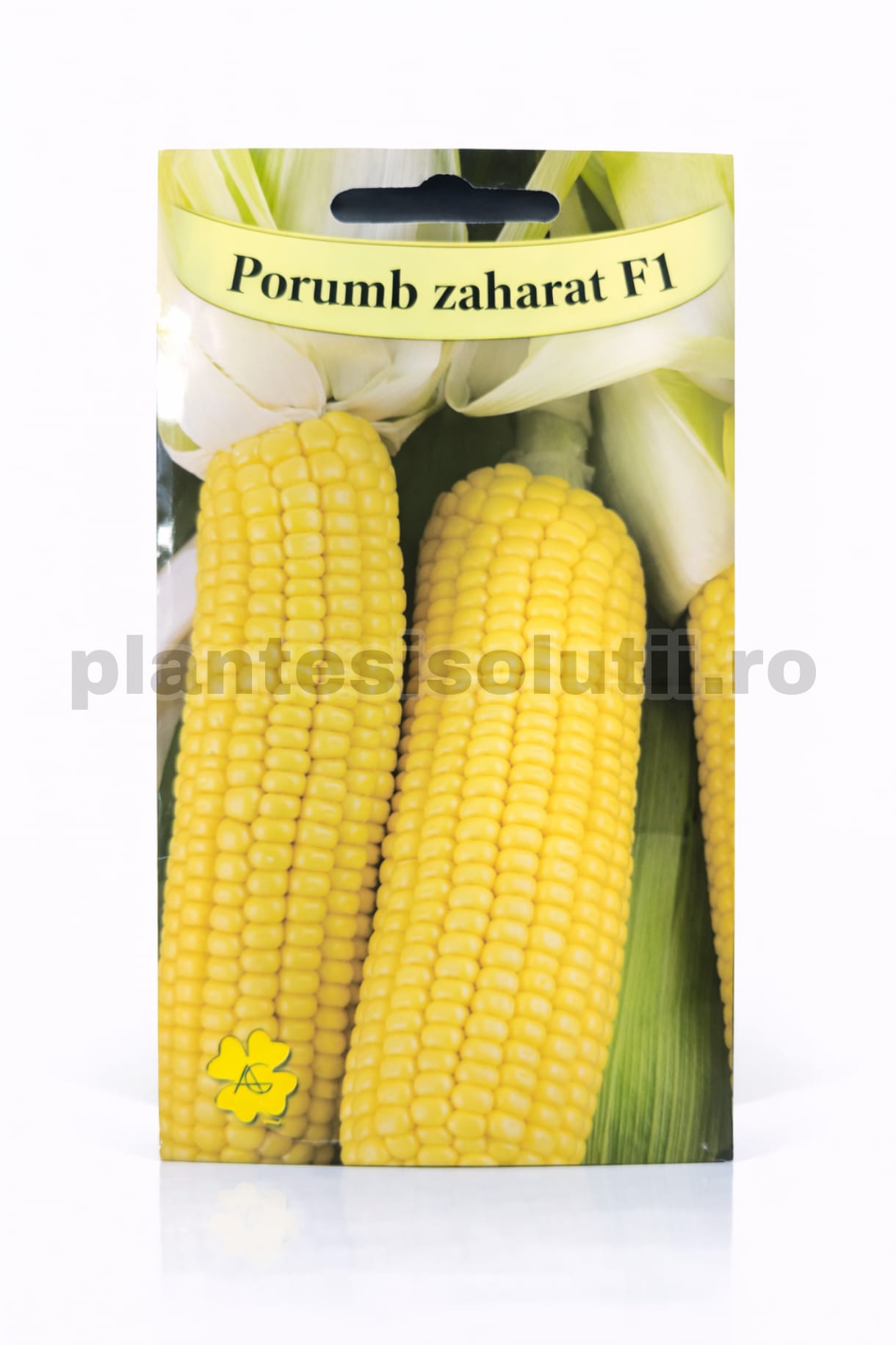 WhatsApp Image 2026-02-04 at 10.39.40 (2)