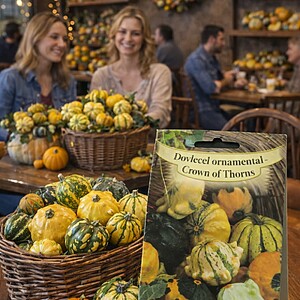 Seminte de Dovlecel ornamental - Crown of Thorns