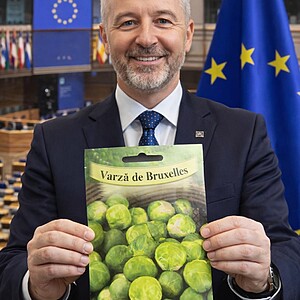 Seminte de Varza de Bruxelles