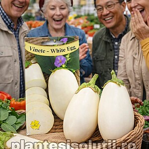 Seminte de Vinete - White Egg