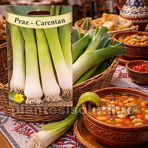 Seminte de Praz - Carentan