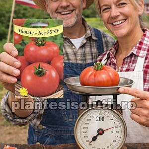 Seminte de Tomate - Ace 55 VF