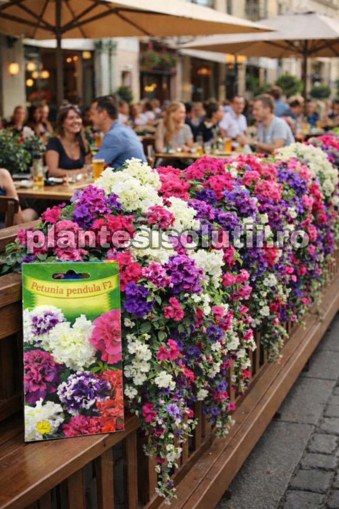 WhatsApp Image 2026-02-06 at 13.22.13 (1)