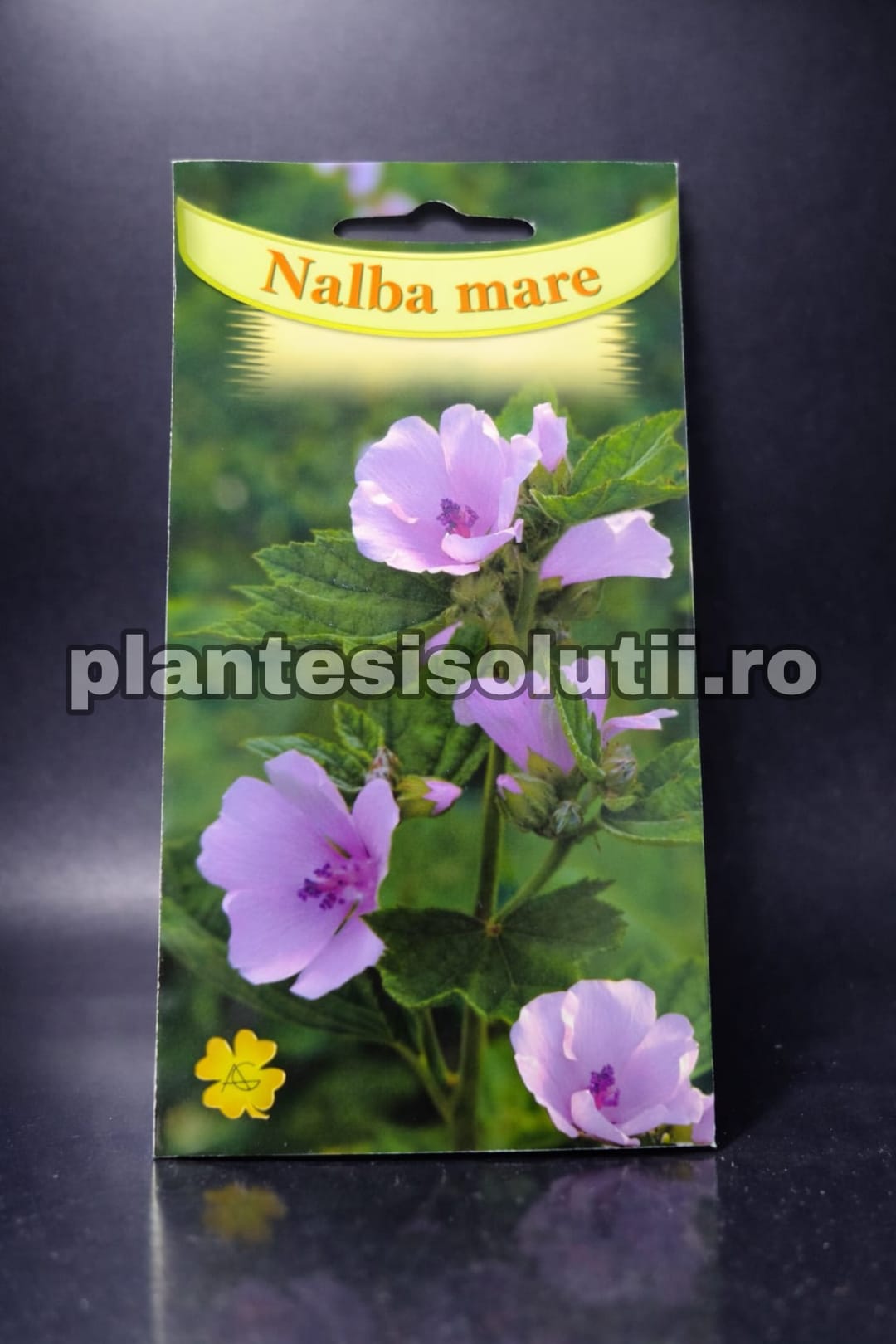 WhatsApp Image 2026-02-06 at 13.22.17 (3)