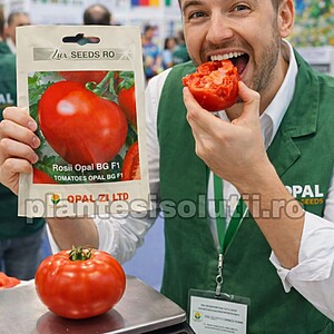 Semințe de  Roșii OPAL BG F1 / Roșii de masă , aprox 1500sem