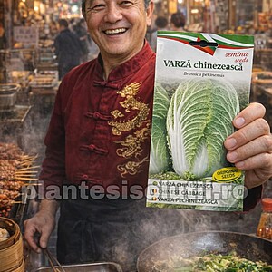 Seminte de Varza chinezeasca HILTON / Varză Pekin, soi fragil si fraged