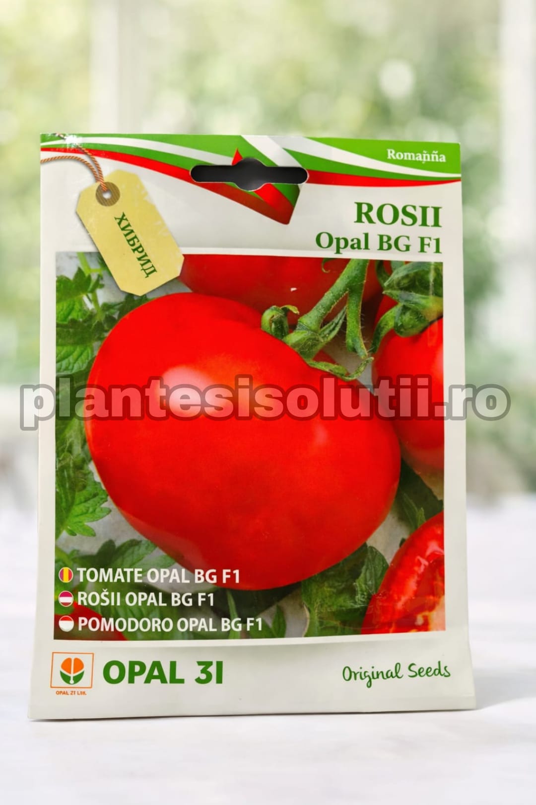 WhatsApp Image 2026-02-06 at 17.08.44 (1)