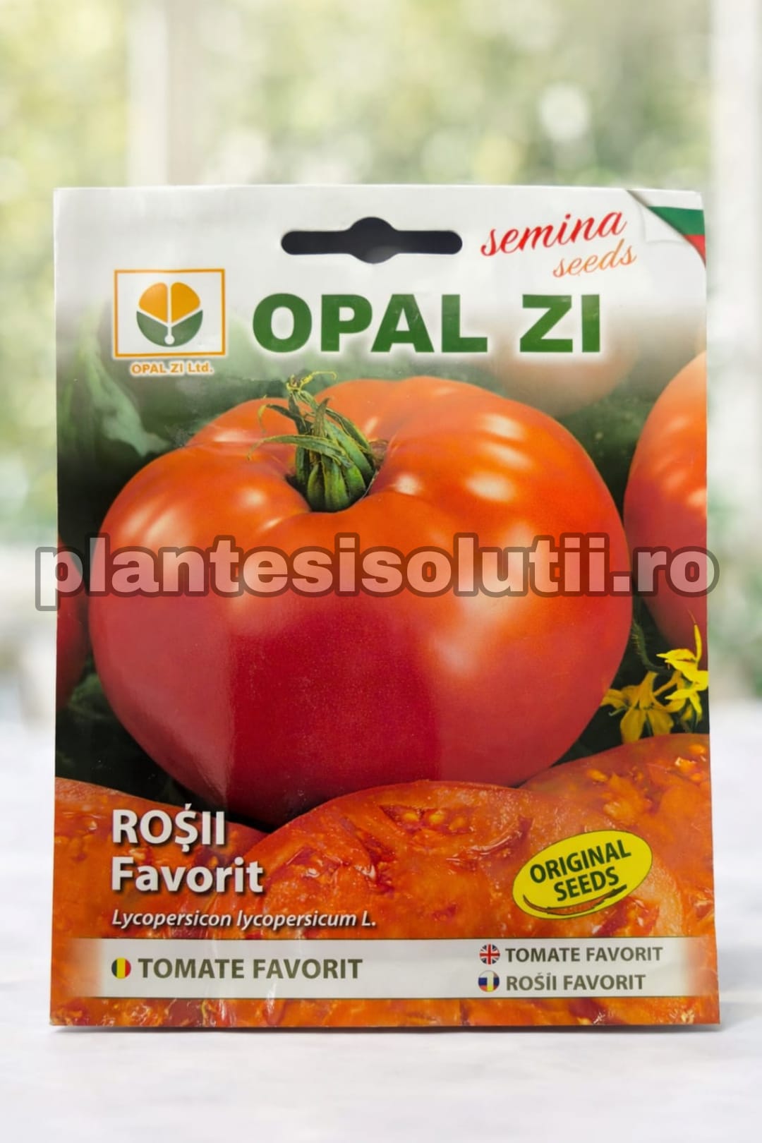 WhatsApp Image 2026-02-06 at 17.08.44 (2)