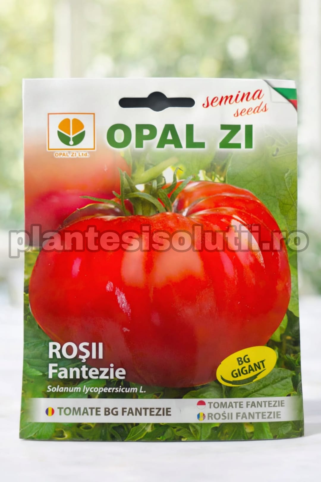 WhatsApp Image 2026-02-06 at 17.08.45 (1)