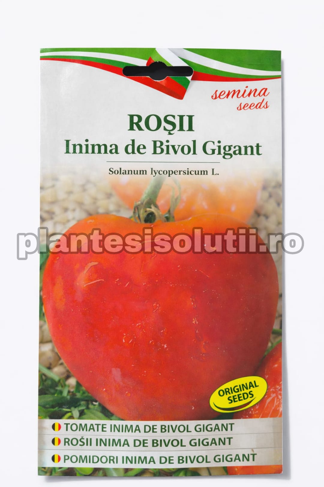 WhatsApp Image 2026-02-06 at 17.08.47 (1)