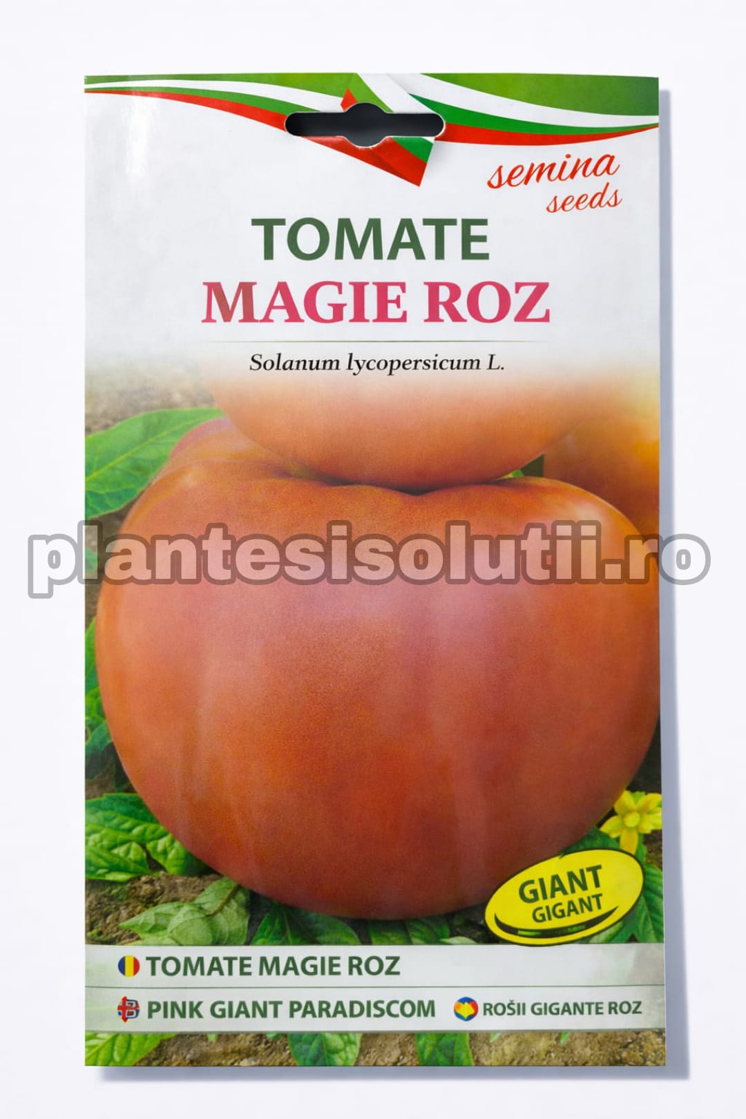 WhatsApp Image 2026-02-06 at 17.08.47 (7)