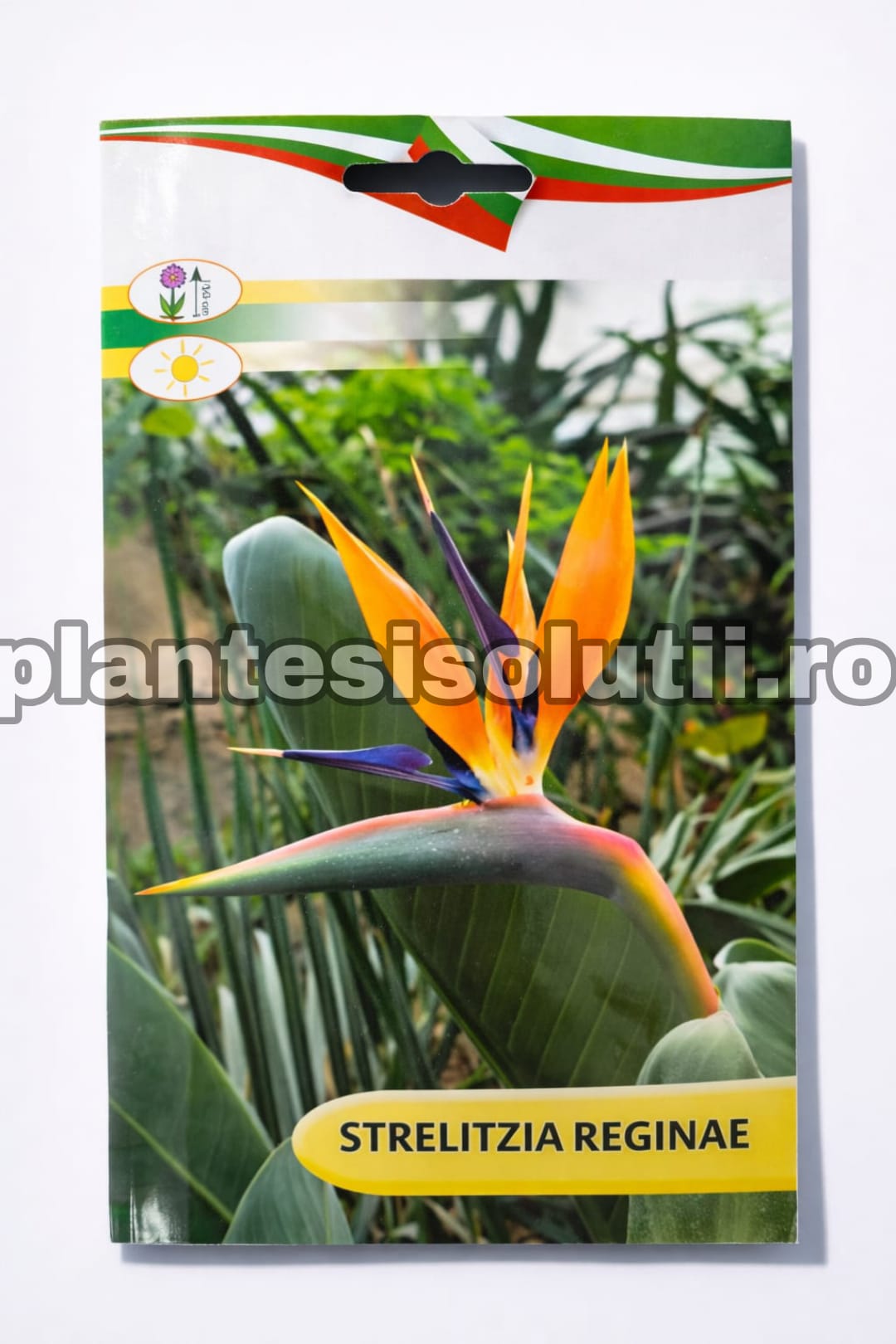 WhatsApp Image 2026-02-06 at 17.08.48 (4)