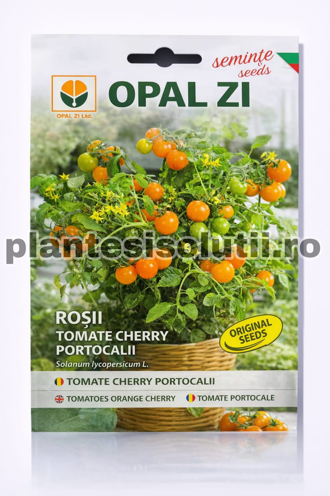 WhatsApp Image 2026-02-06 at 17.08.48 (7)