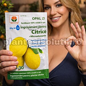 Ingrasamant pentru citrice , 20 grame