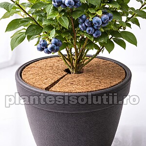 Disc din cocos pentru protecția plantelor, 18cm