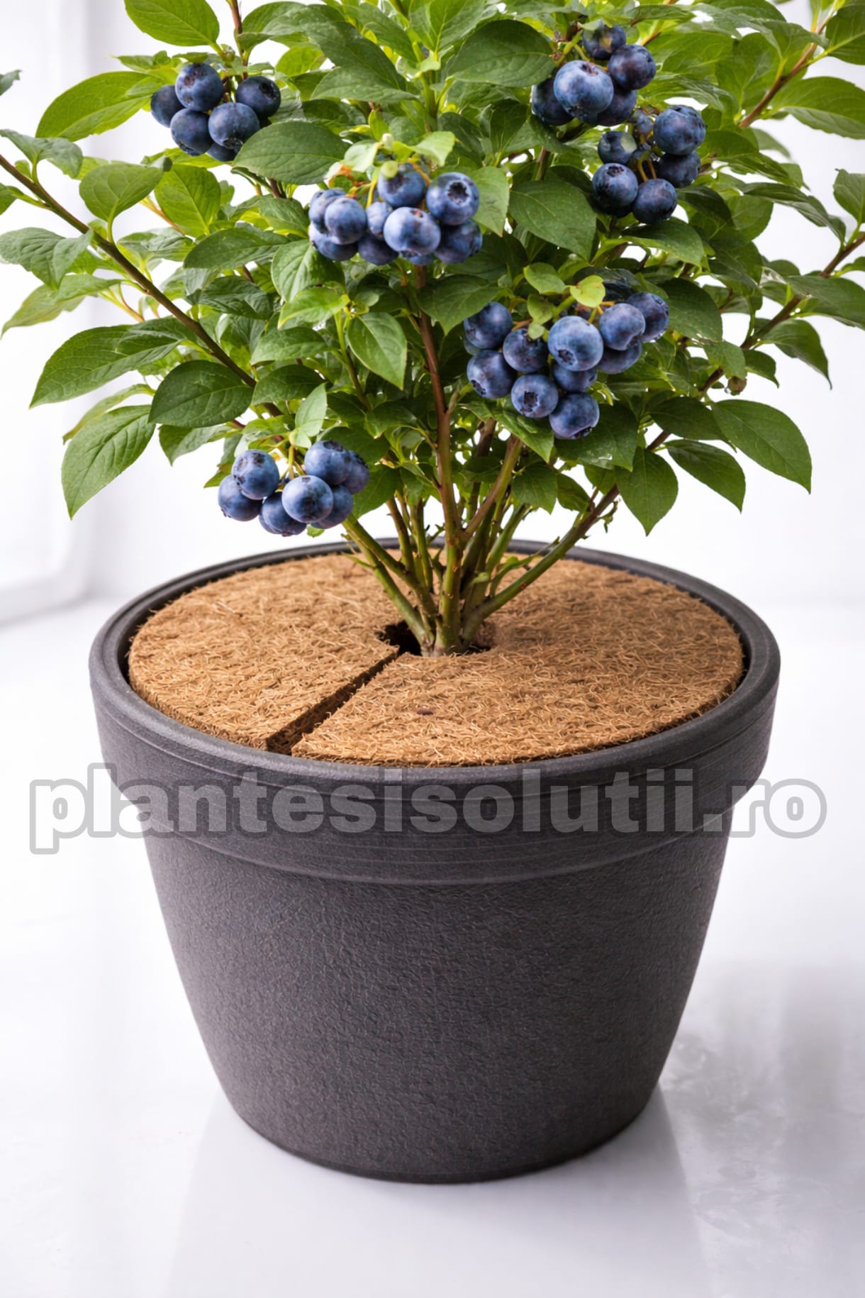 WhatsApp Image 2026-02-07 at 23.34.13