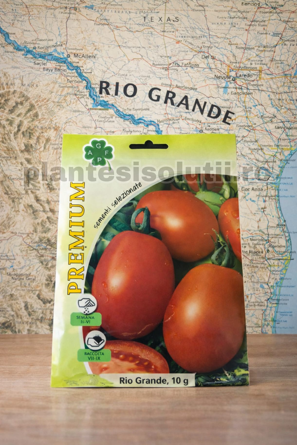 WhatsApp Image 2026-02-09 at 21.43.26 (1)