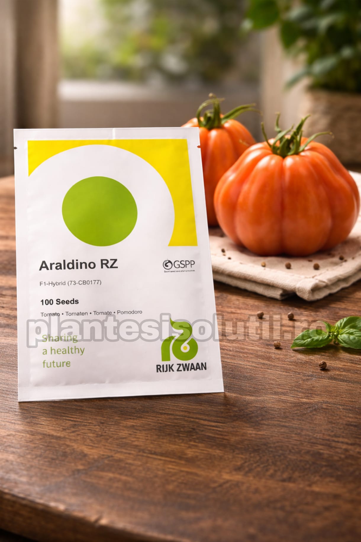 WhatsApp Image 2026-02-10 at 11.41.14