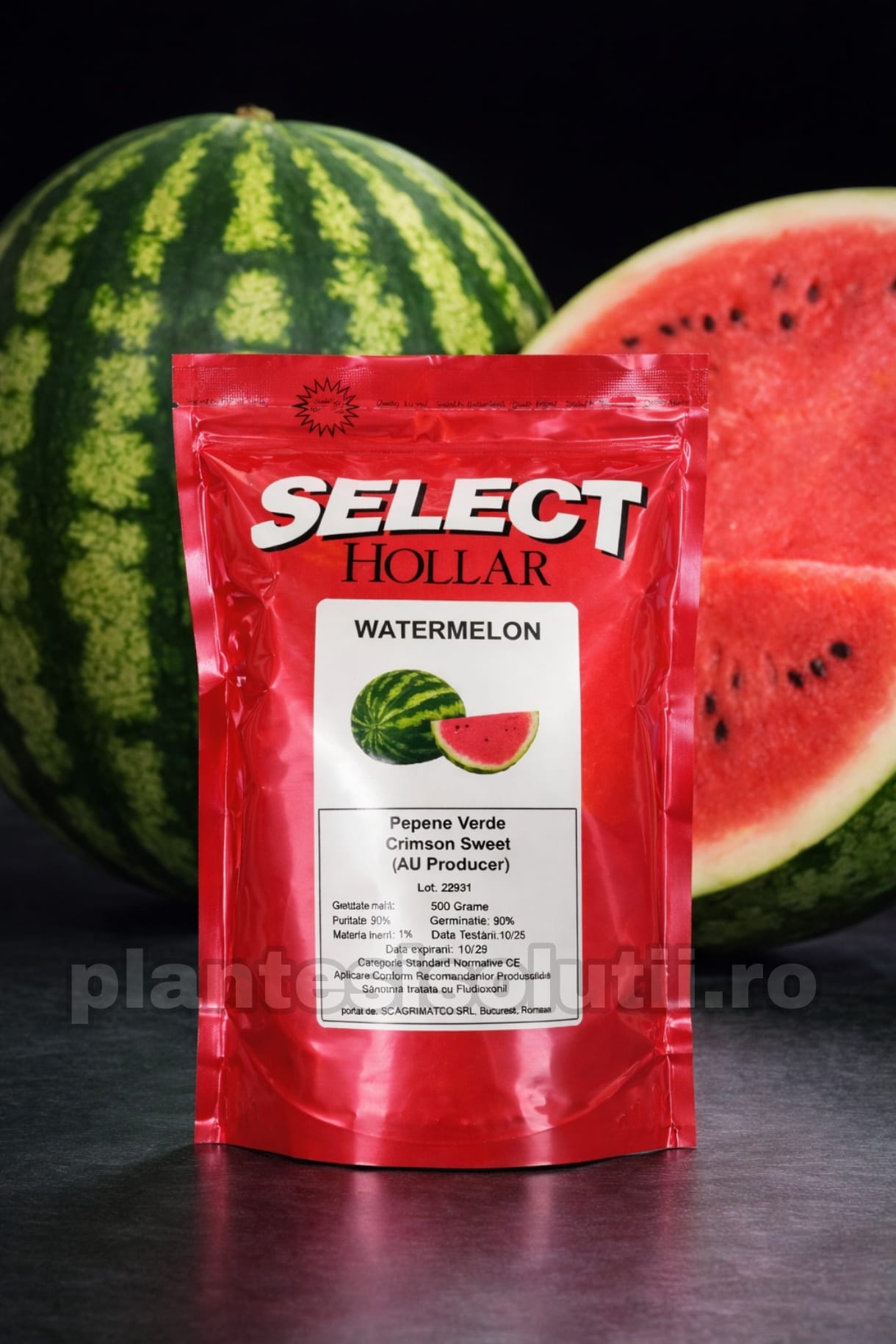 WhatsApp Image 2026-02-10 at 20.34.30