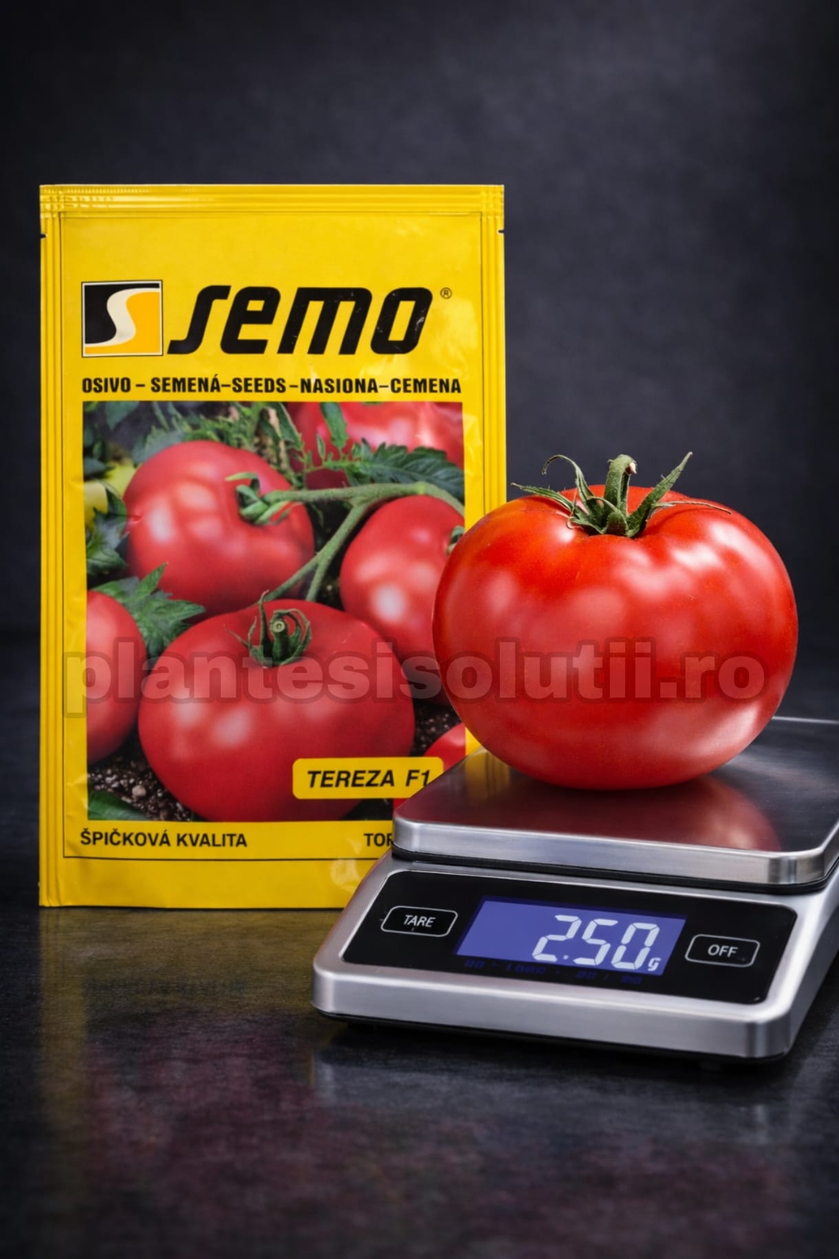 WhatsApp Image 2026-02-10 at 20.34.31 (1)