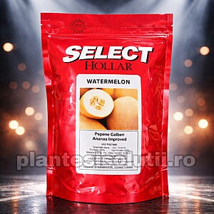 Seminte Pepene galben Ananas *Imbunatatit - Improved Hollar Seeds, 500g