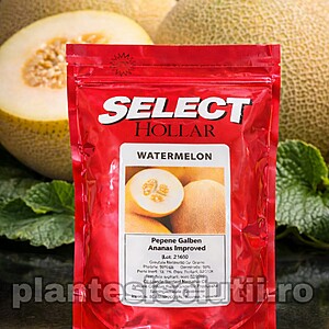 Seminte Pepene galben Ananas *Imbunatatit - Improved Hollar Seeds, 100g
