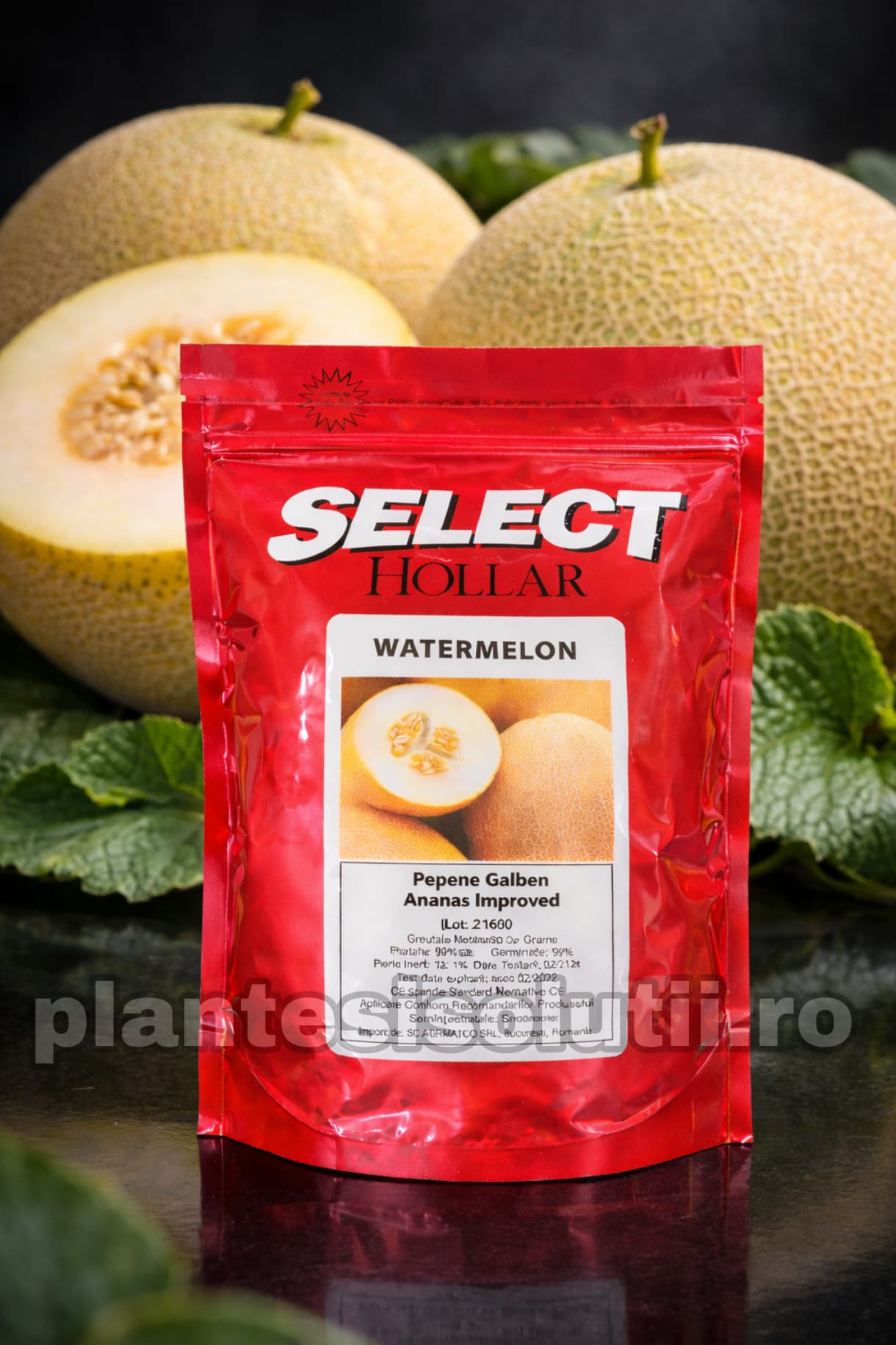 WhatsApp Image 2026-02-10 at 20.34.32