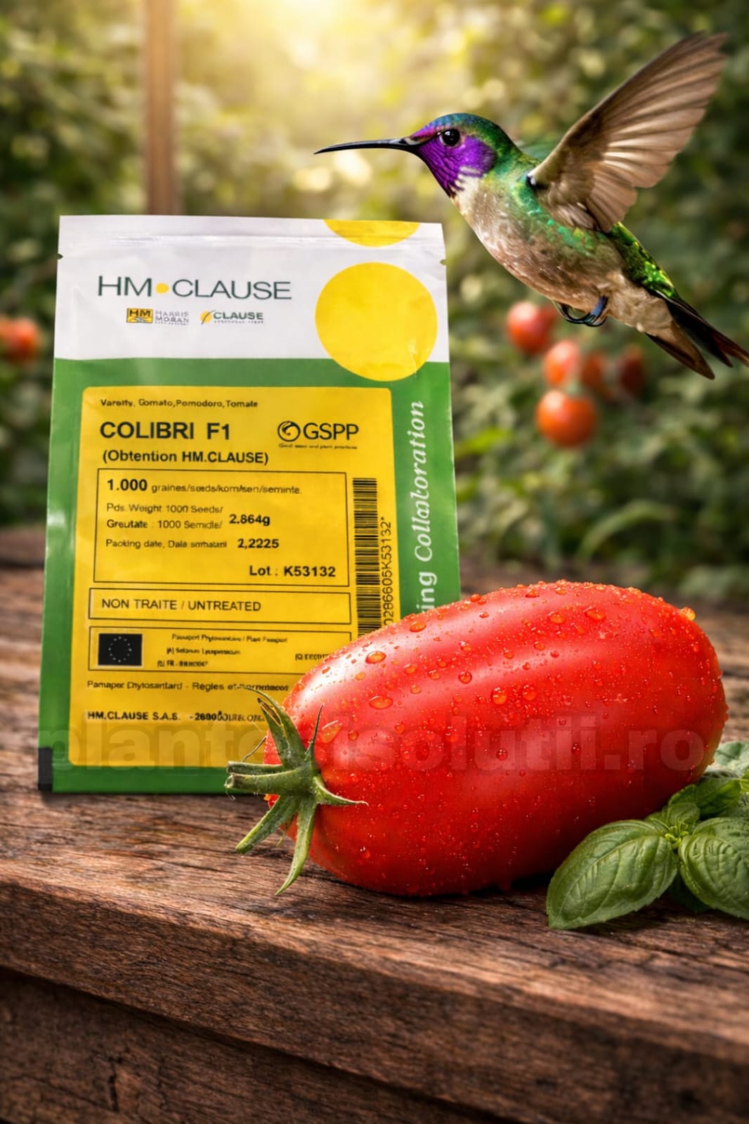 WhatsApp Image 2026-02-11 at 10.40.33