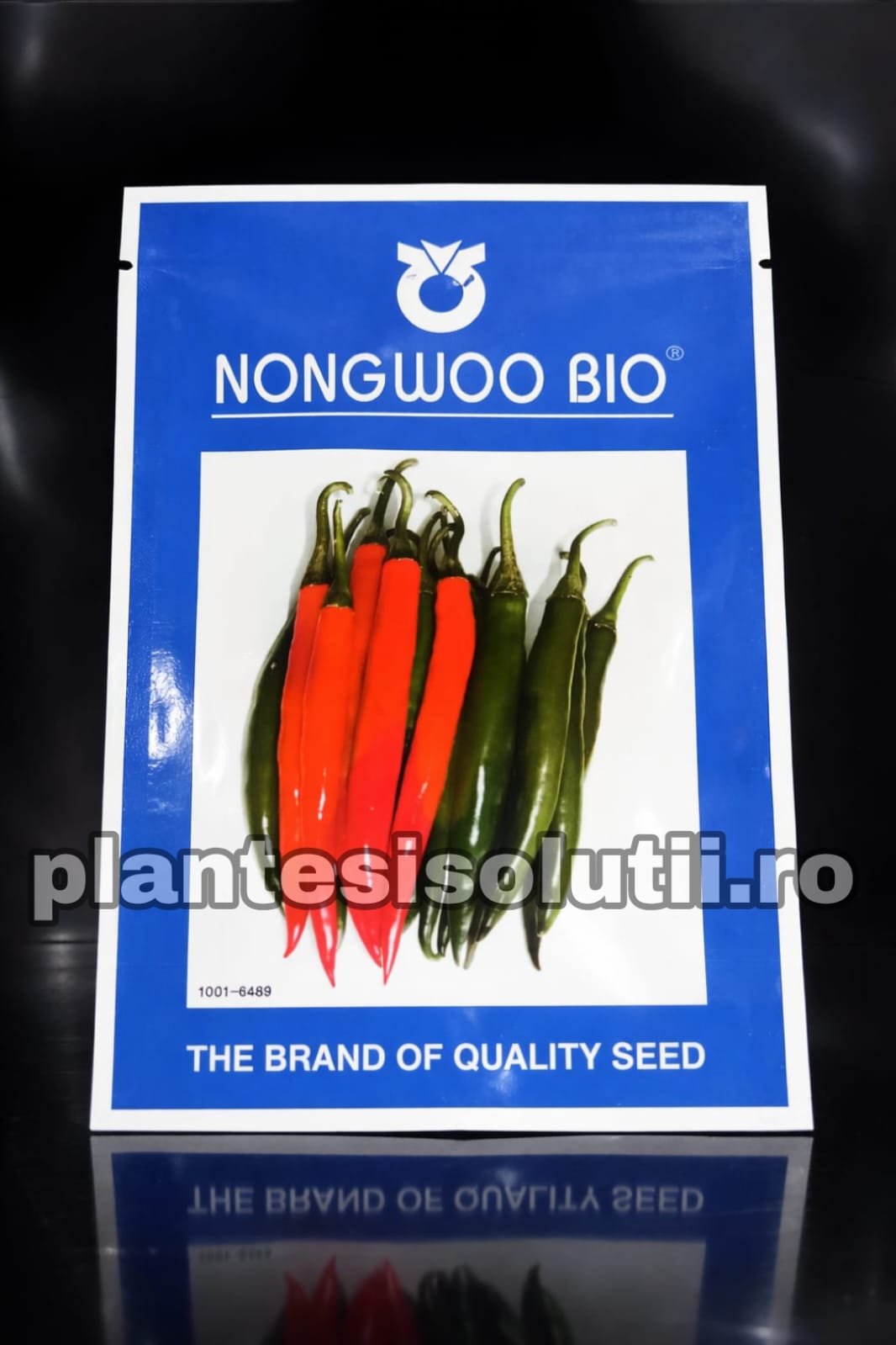 WhatsApp Image 2026-02-11 at 10.40.34 (2)