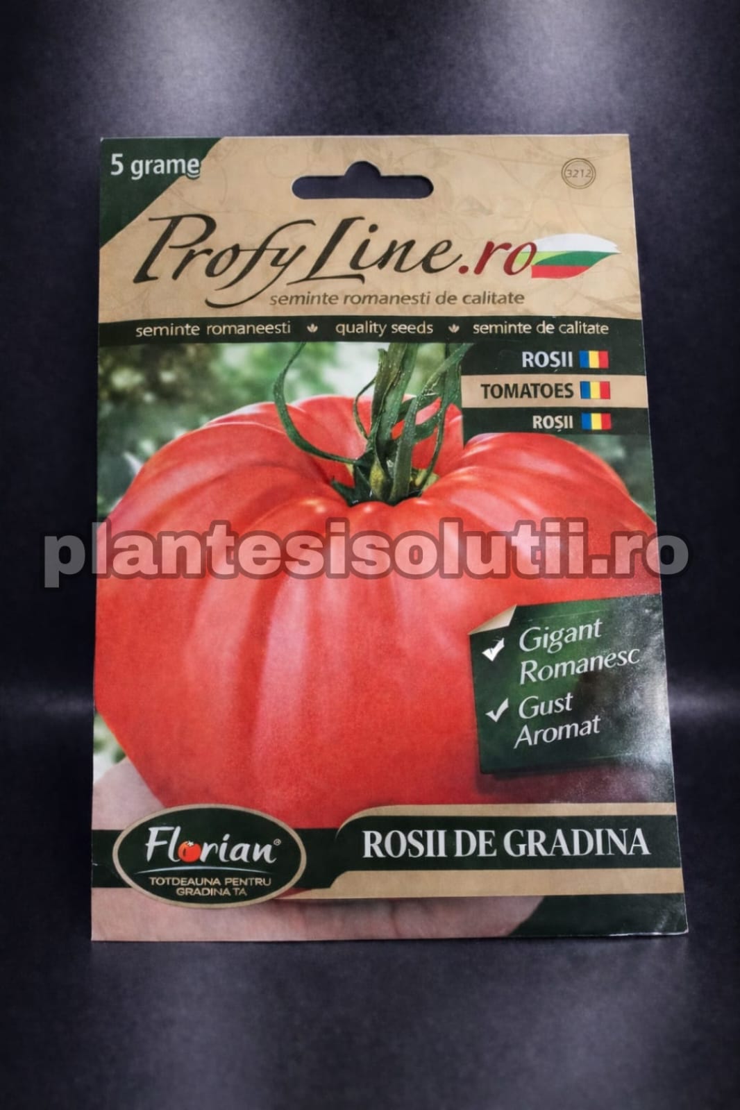 WhatsApp Image 2026-02-11 at 16.19.07 (1)