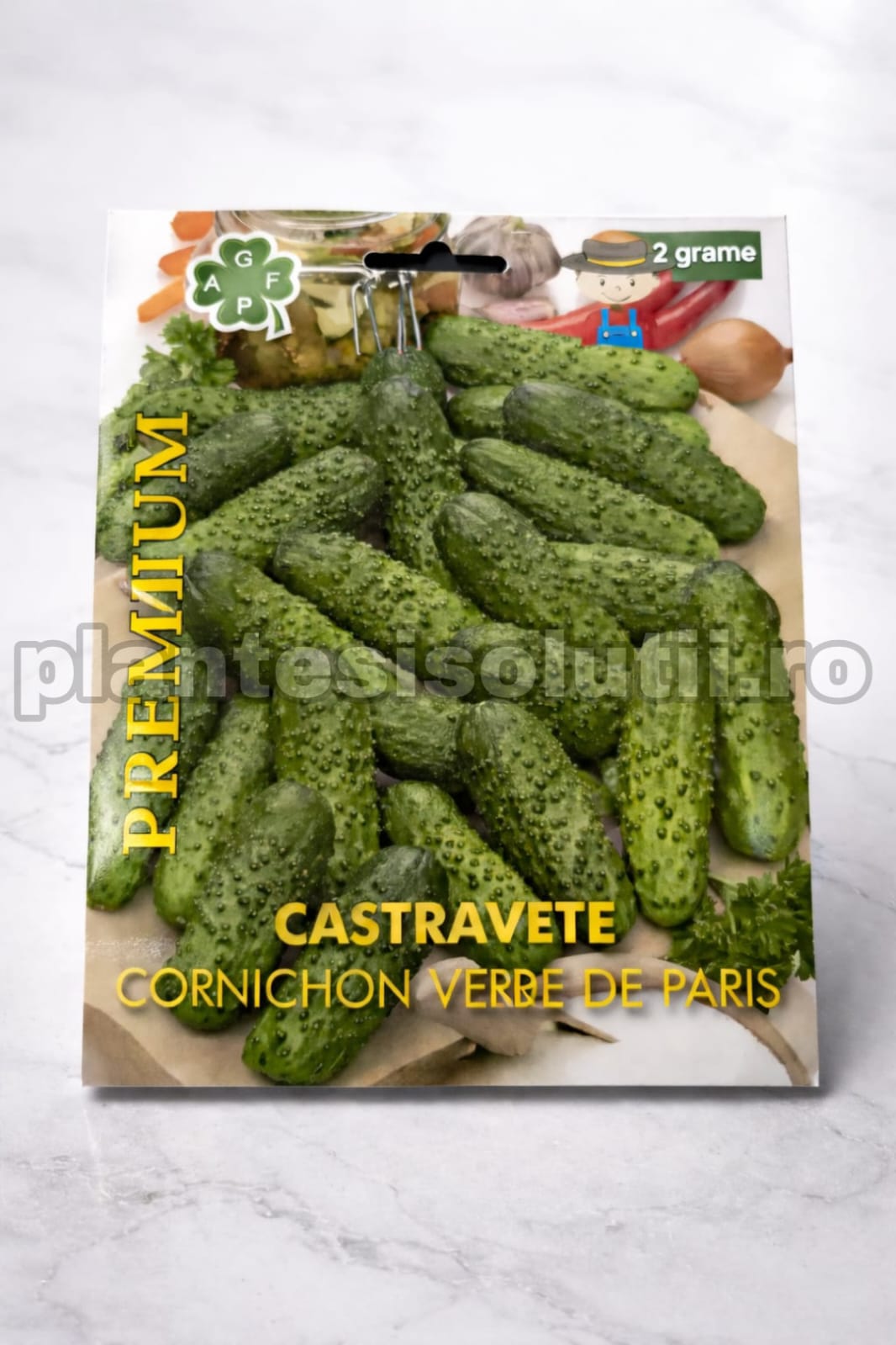 WhatsApp Image 2026-02-12 at 13.19.10 (1)