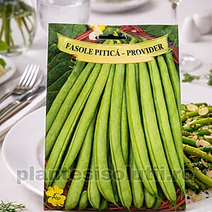 Fasole fideluta pitică Harvester, 100 seminte