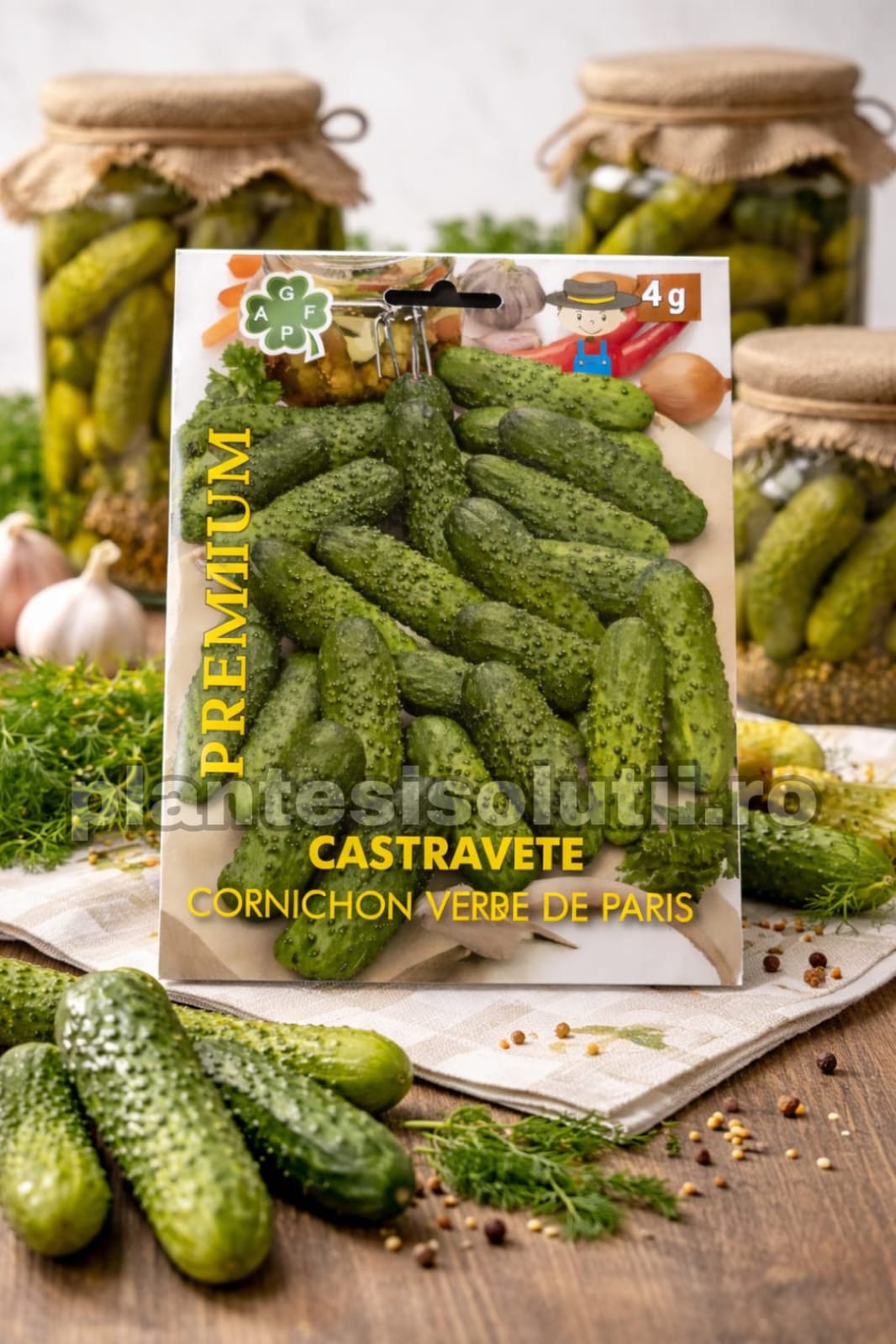 WhatsApp Image 2026-02-12 at 13.19.13