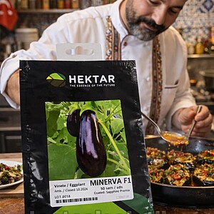 Seminte vinete MINERVA F1, 100seminte