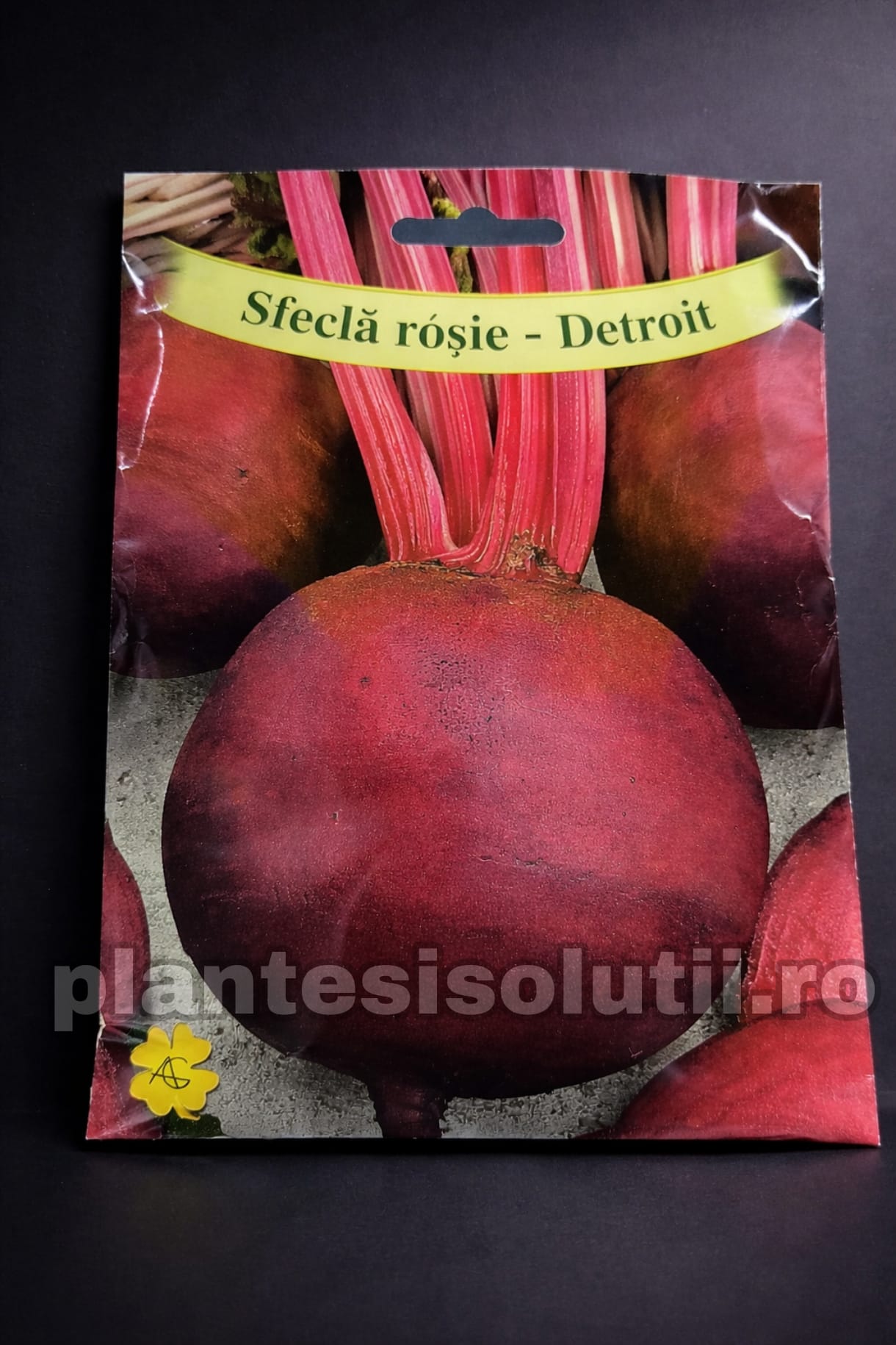 WhatsApp Image 2026-02-14 at 09.03.38 (4)