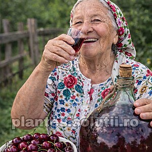 Visin Erdi Jubileum, radacina ambalata