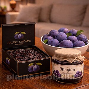 Prun Tuleu Gras, radacina ambalata