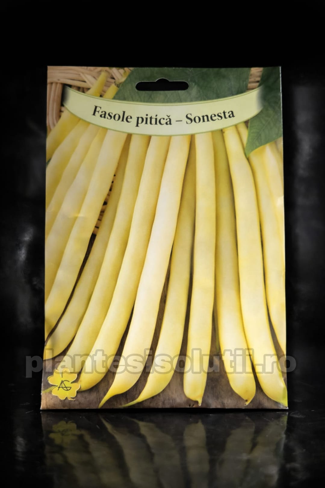 WhatsApp Image 2026-02-23 at 11.23.02 (1)