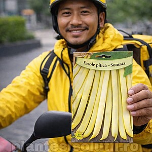 Fasole fideluta Pitică Sonesta 25 gr