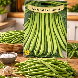 Seminte de Fasole pitica Processor 50gr