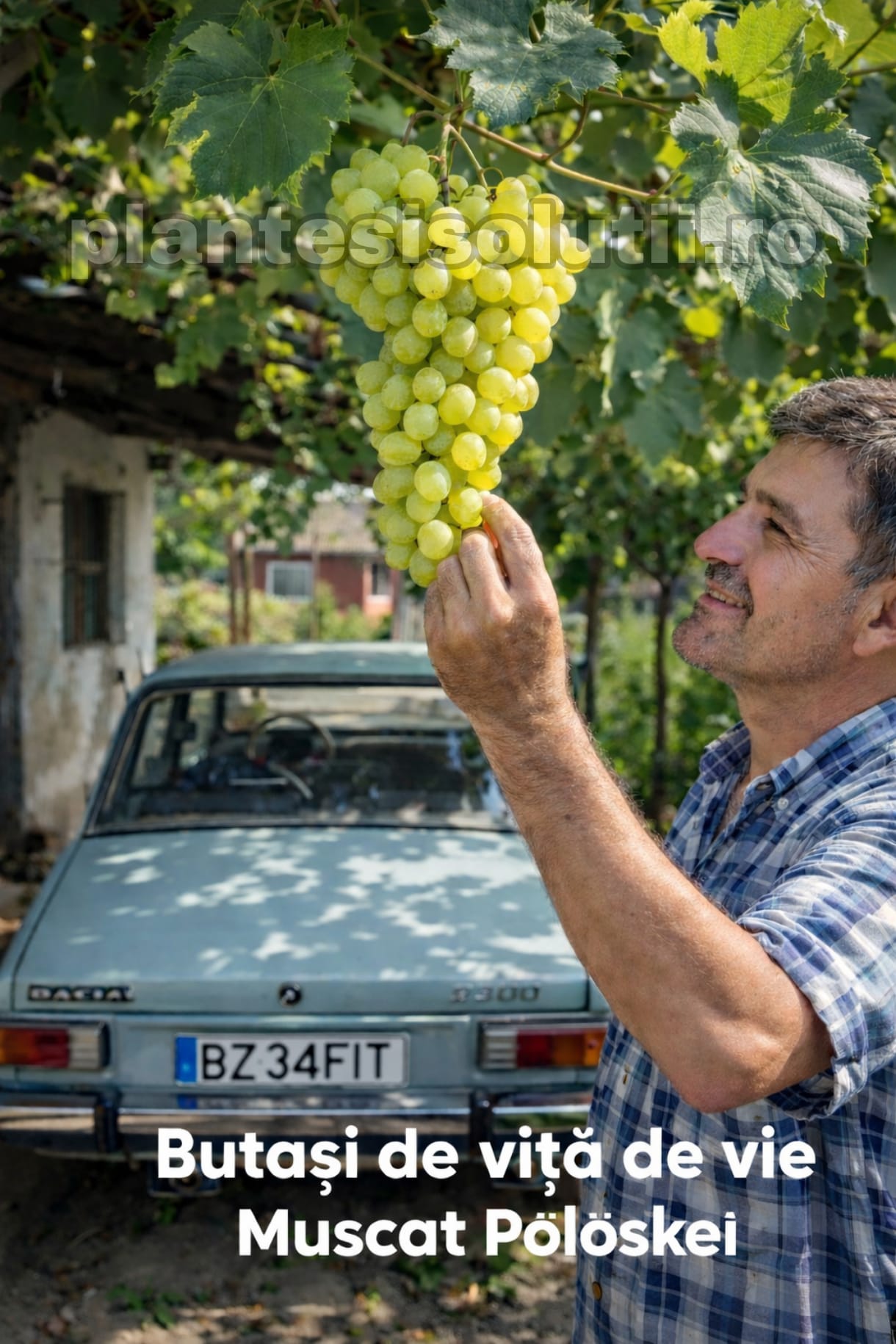 WhatsApp Image 2026-02-28 at 21.54.12 (4)