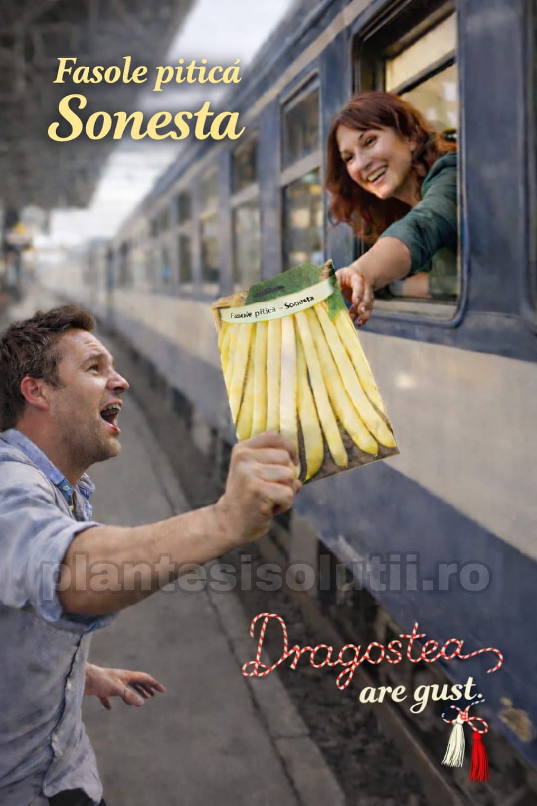 WhatsApp Image 2026-03-01 at 11.17.00