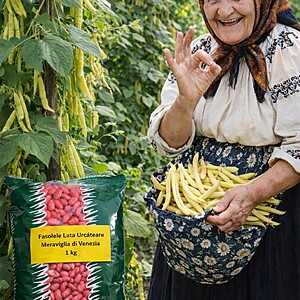 Seminte fasole urcatoare, lata, galbena Meraviglia Di Venezia,1kg