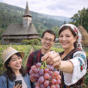 Butași Vita de Vie „Jupiter” – Radacina Ambalata