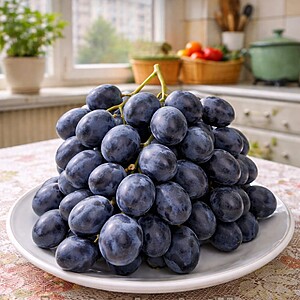 Butași Vita de Vie „Nero” – Radacina Ambalata