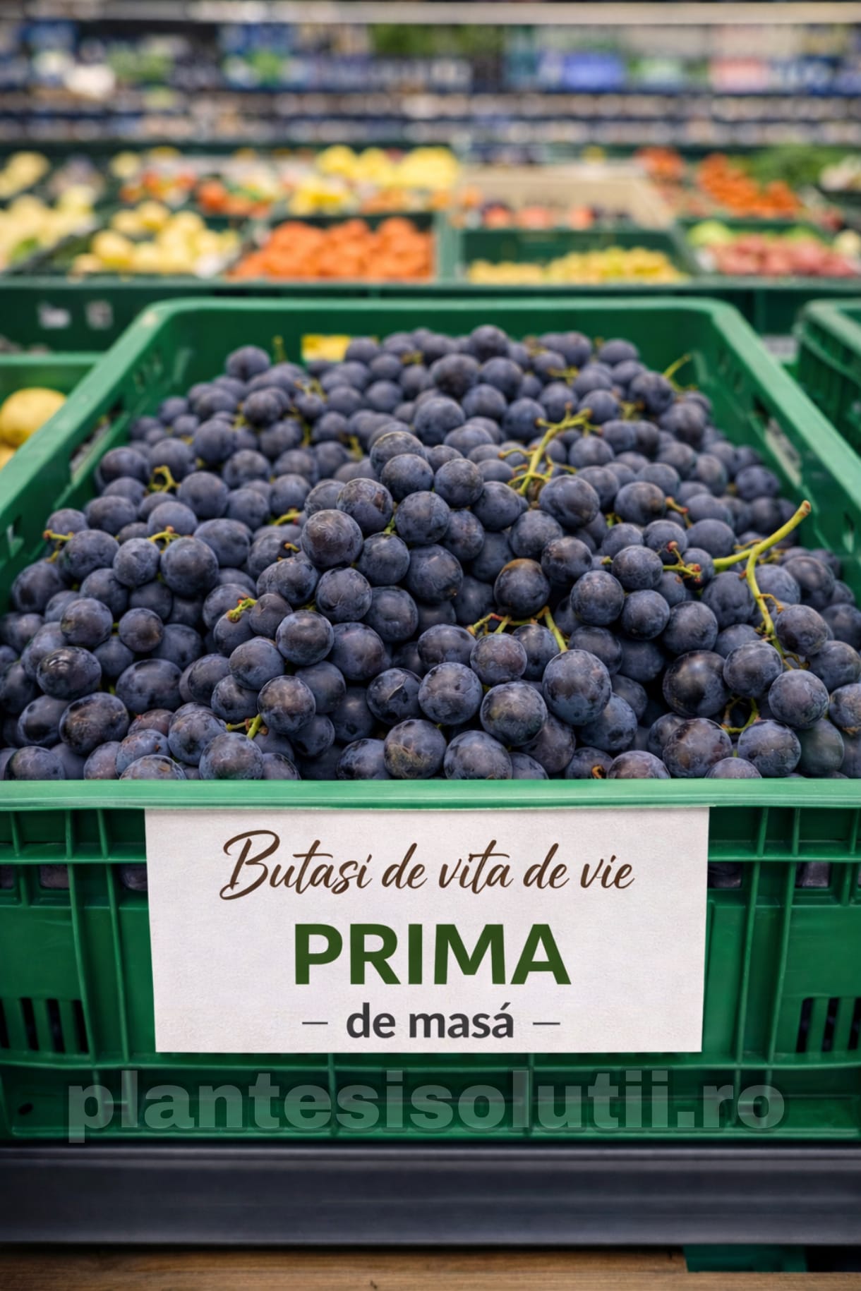 WhatsApp Image 2026-02-28 at 21.54.11 (6)