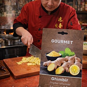 Stolon Ghimbir – 1 Bucată