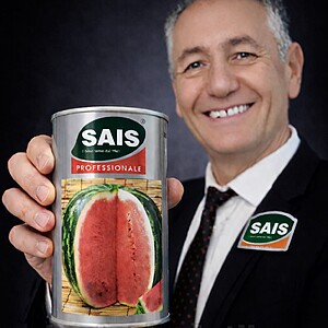 Seminte de Pepene Crimson Sweet Colorado, Au Producer Professionale, SAIS, 500 gr