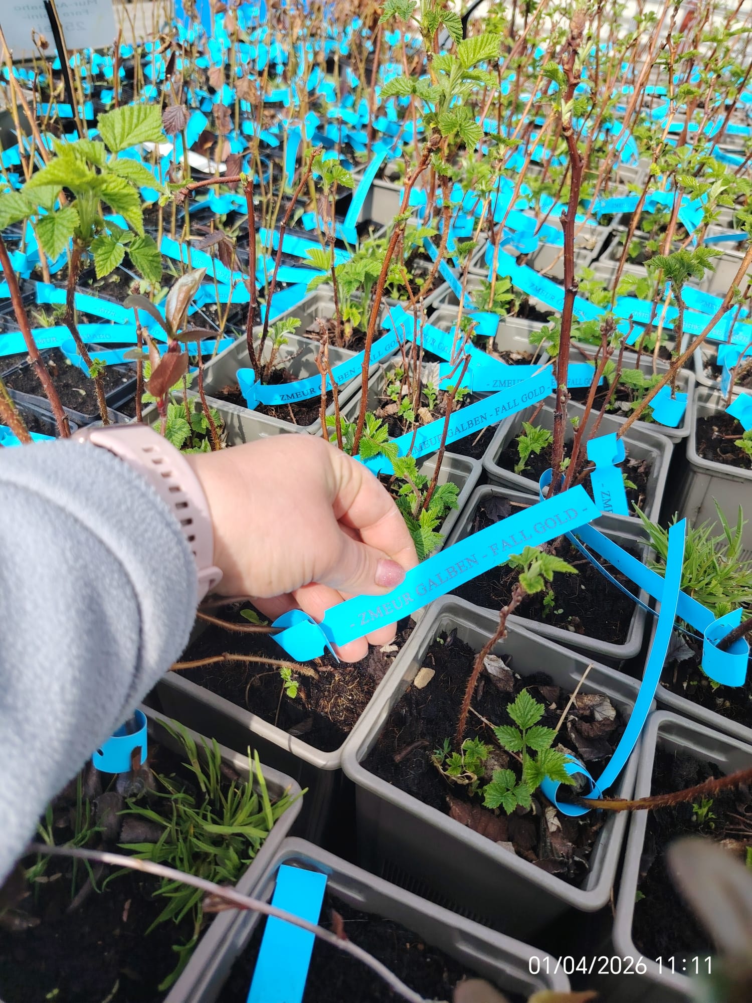 WhatsApp Image 2026-04-01 at 12.37.46 (1)