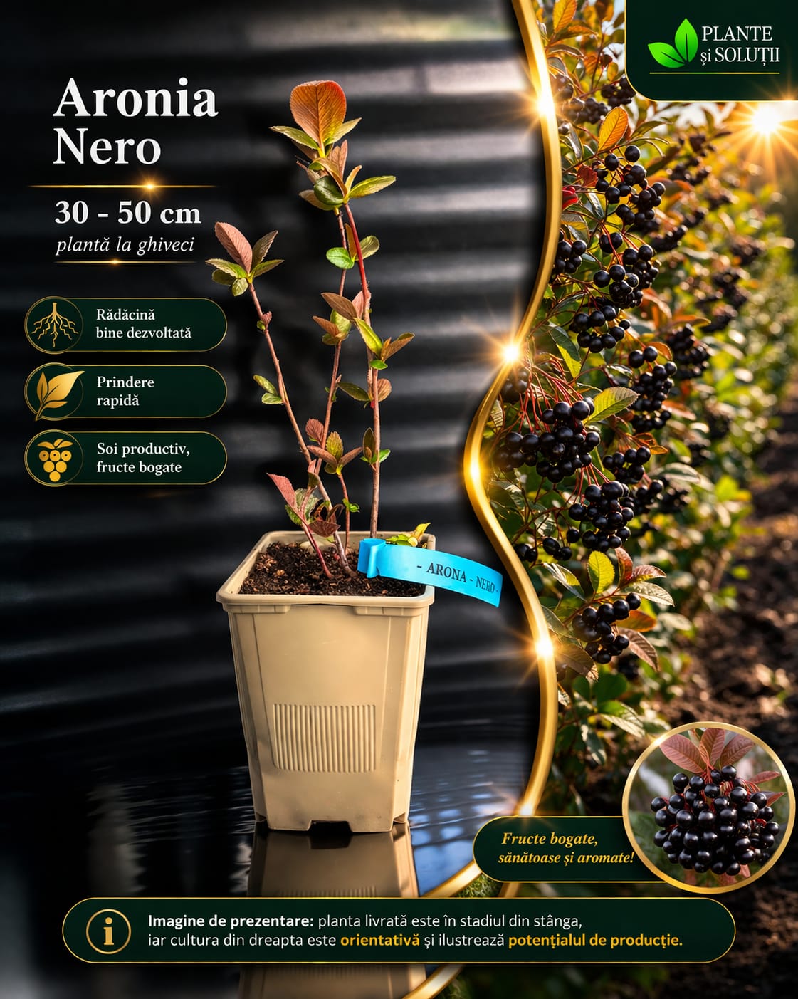 WhatsApp Image 2026-04-08 at 20.21.08 (2)